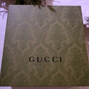 Gucci box/Dust bag